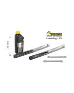 Height lowering kit 30mm for Triumph Tiger 800 XC 2011-2014 *replacement springs and reversing lever*